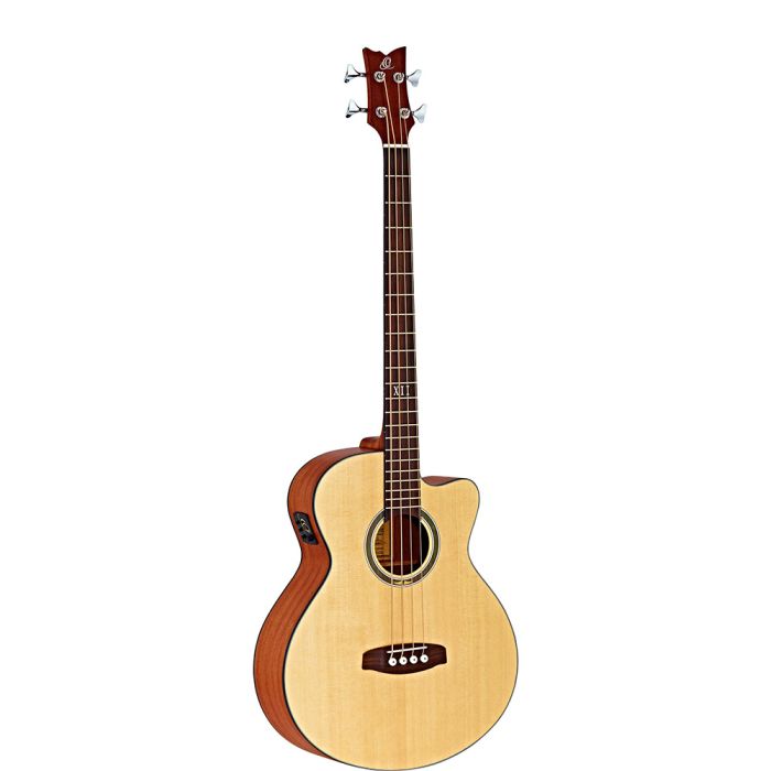 Deep Series Medium Scale Solid Top Acoustic-Electric Bass
