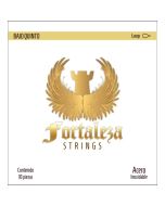 Fortaleza Bajo Quinto Strings Acero Inoxidable – LOOP (Lazo)
