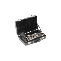 1SKB-320
