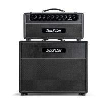 Hot Cat Head Amplifier