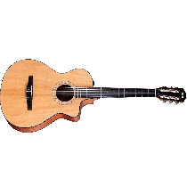 Taylor Nylon 112ce-N