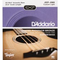 D'Addario EXPPBB190GS GS Mini Acoustic Bass Coated Phosphor Bronze 23.5 Scale Acoustic Bass .037-.090