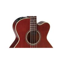 Takamine PB5ANS