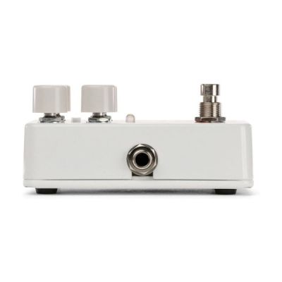 Electro-Harmonix Canyon Delay and Looper Pedal