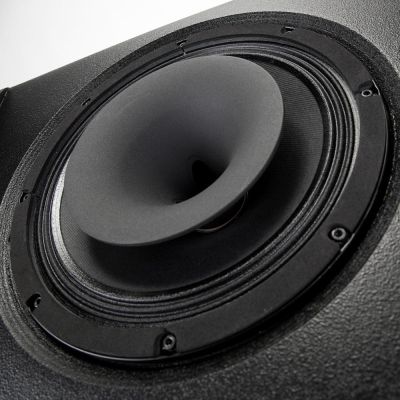 NX 12-SMA ACTIVE COAXIAL STAGE MONITOR - RCF image 8