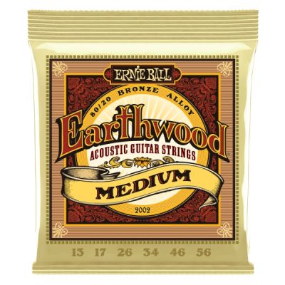 Ernie Ball P02002 Medium Earthwood 80/20 Bronze Acoustic Strings .013-.056