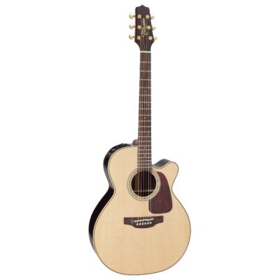 Takamine P5NC Pro Series NEX Body