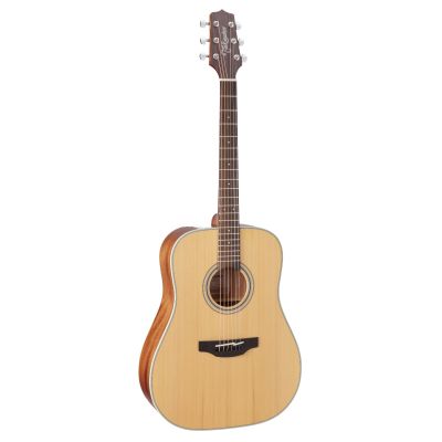 Takamine GN20-NS