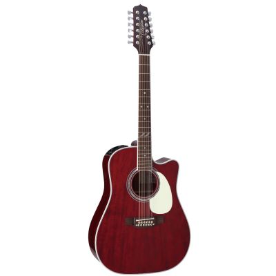 JJ Takamine 12 String