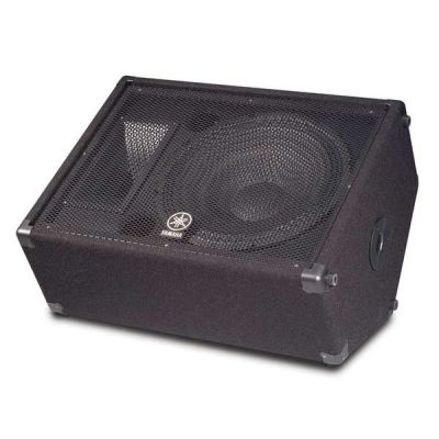 Yamaha BR15 Loudspeaker - 15-inch Two-Way Passive Speaker with 800-Watt Peak Power