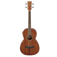 Ibanez PNB14E-OPN
