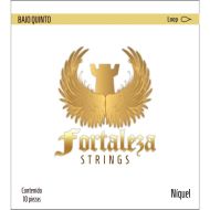 Fortaleza Bajo Quinto Níquel – LOOP (Lazo)