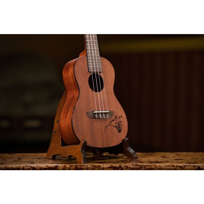 Bonfire Series Concert Ukulele