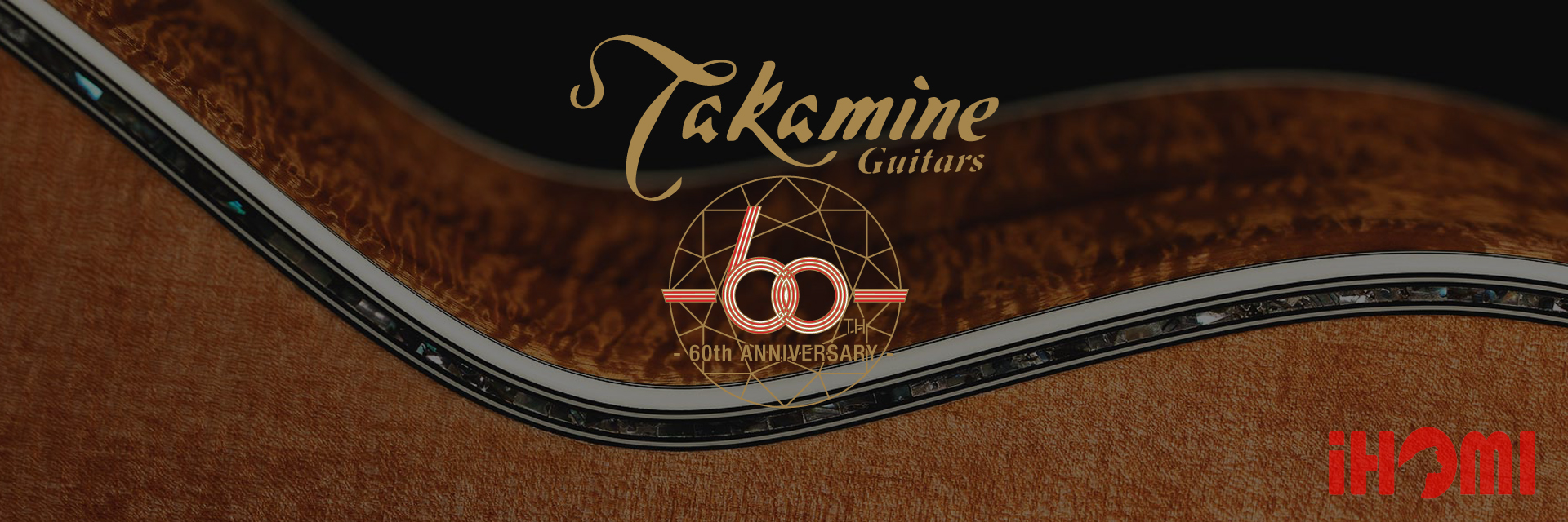 takamine guitar